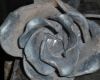 rose 19 20130722 1434742357