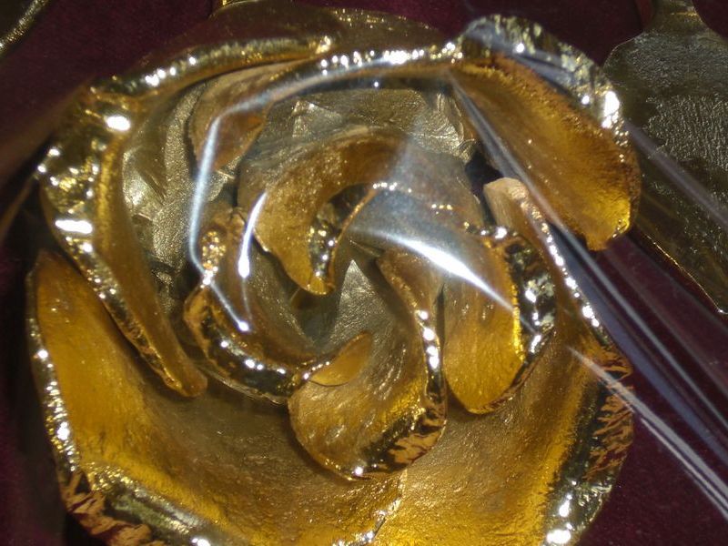 rose 36 20130722 1332700106