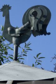 garten 11 20130722 1211621875