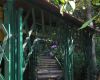 garten 14 20130722 1228854586