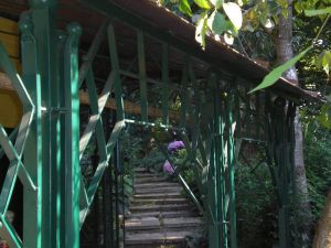 garten 14 20130722 1228854586
