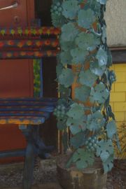 garten 22 20130722 1342771603