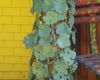 garten 32 20130722 1011528475