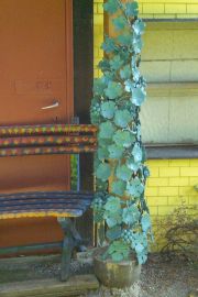 garten 34 20130722 1211265873