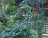 garten 43 20130722 2075603372