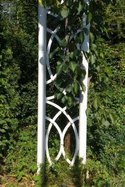 garten 46 20130722 1822458808