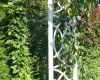 garten 47 20130722 1731090384
