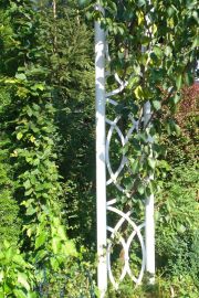 garten 47 20130722 1731090384