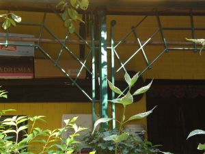 garten 6 20130722 1034965067