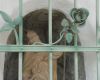 kapelle 2 20130722 1256106895