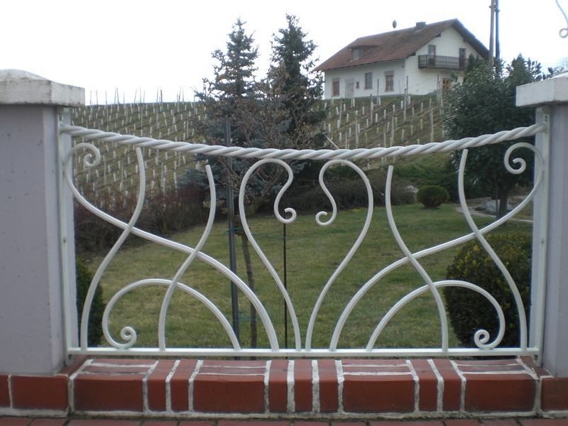 zaun 4 20130722 1047018588
